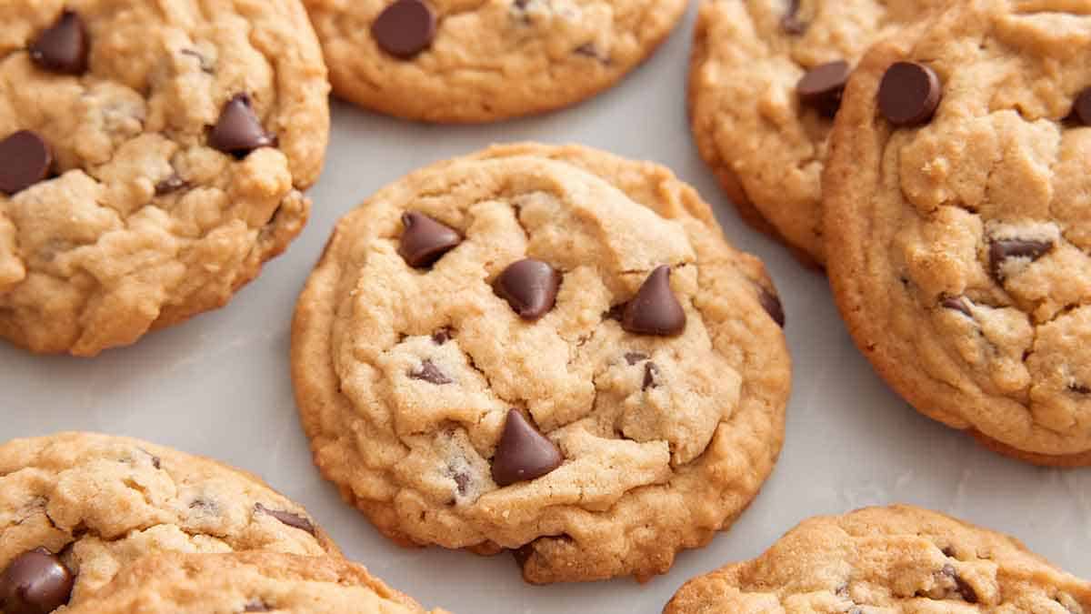 A dish of Chocolate Chip Cookies
